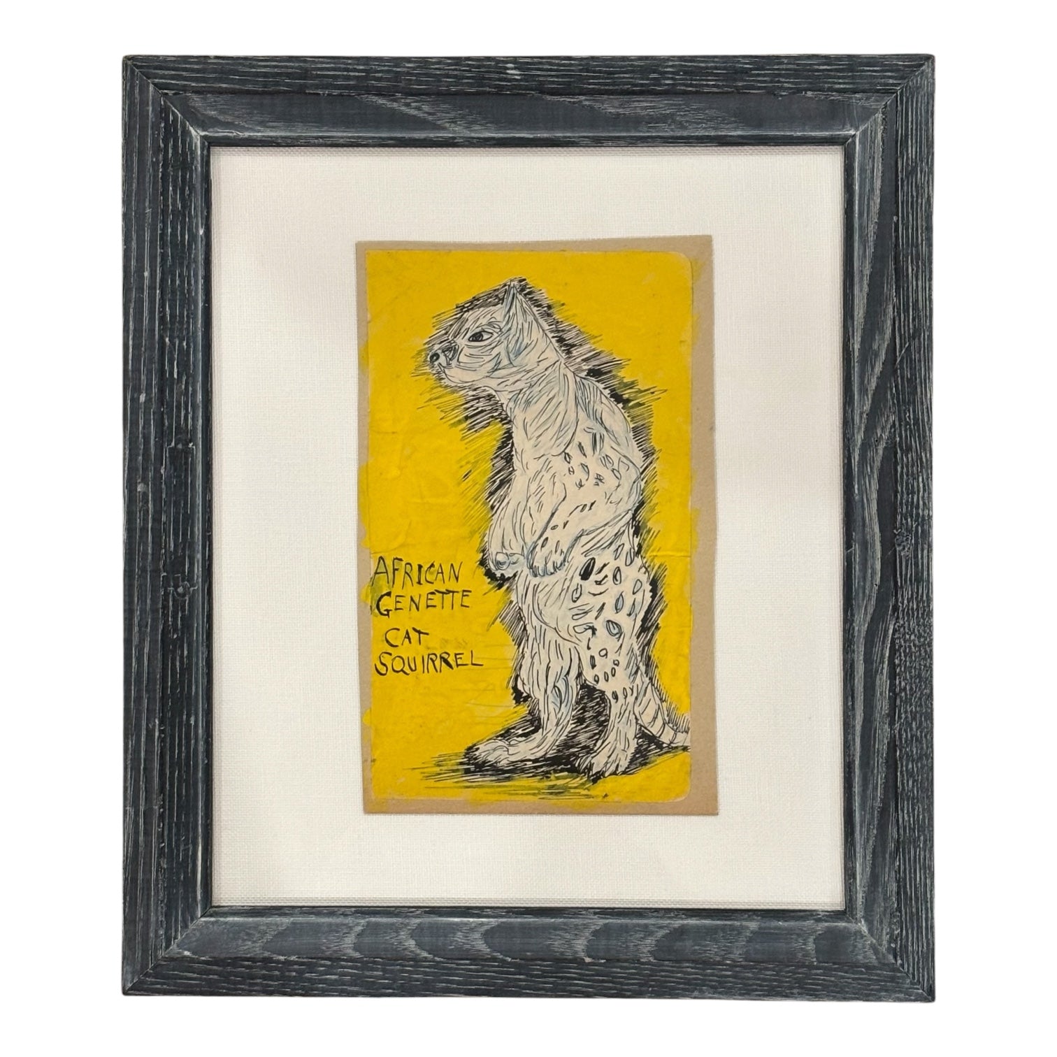 Outsider  Mixed Media of African Cat Squirrel on Yellow