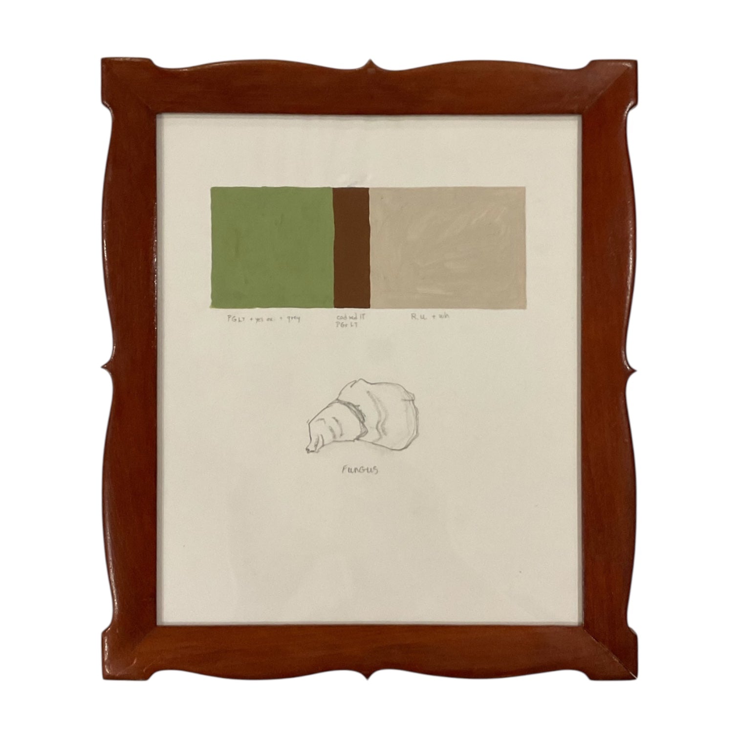 Minimalist Color Study of a Fungus  in Scalloped  Walnut  Vintage Frame