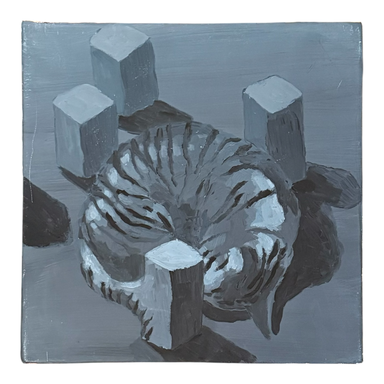 TP Sleeping Cat in Surrealist Landscape with Cool Tones