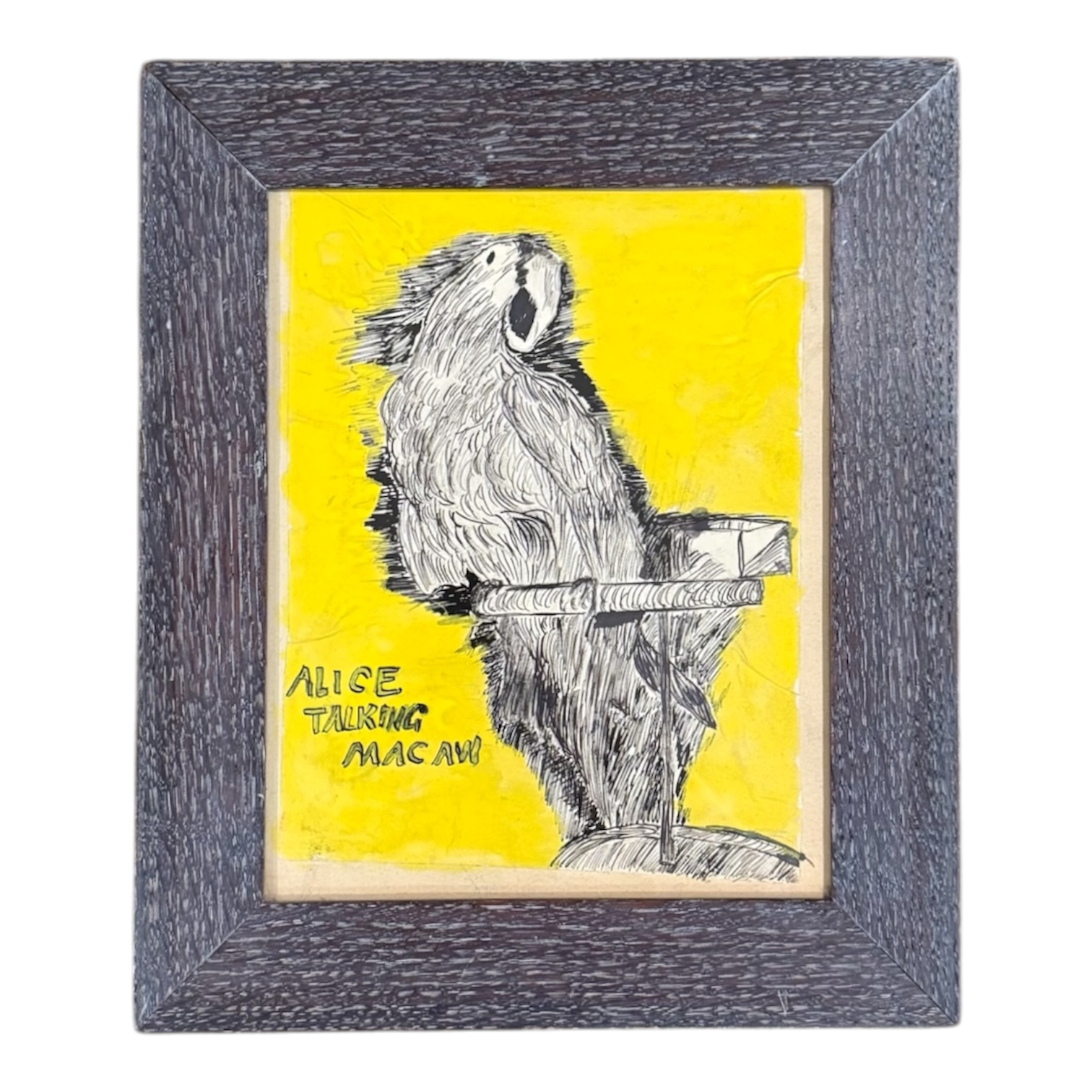 "Alice Talking Macaw" in Vintage Cerused Frame Impoprtant Outsider Artist