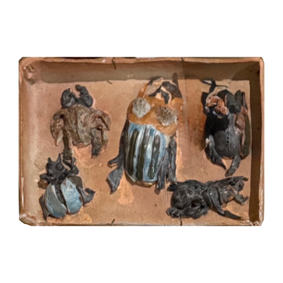 Vintage Tray with Pottery Beetles and Bugs