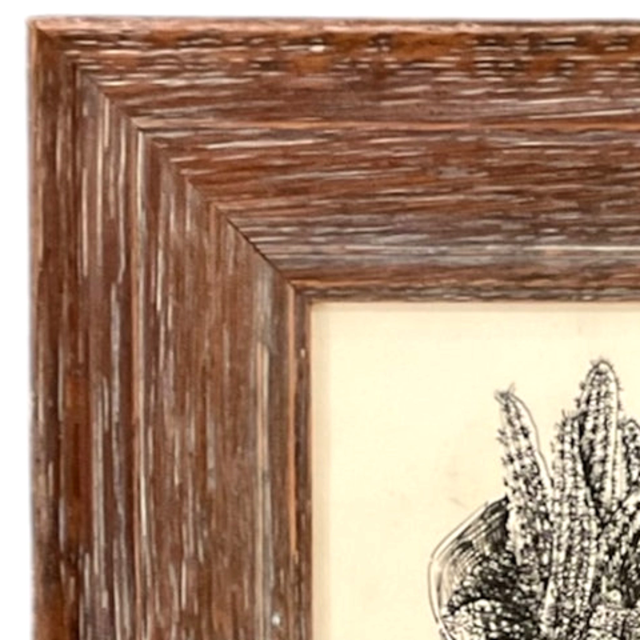 I MESSED UP PLS RETAKE PIC Charming Vintage Pen and Ink of a Potted Plant in Vintage Cerused Wood Frame