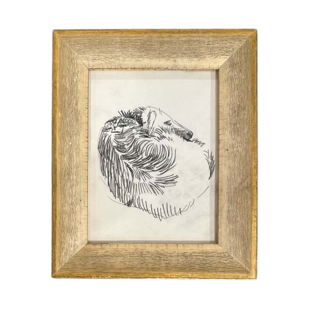 Exquisite Drawing of a Wolfhound in a 19th Century Gilt Wood Frame