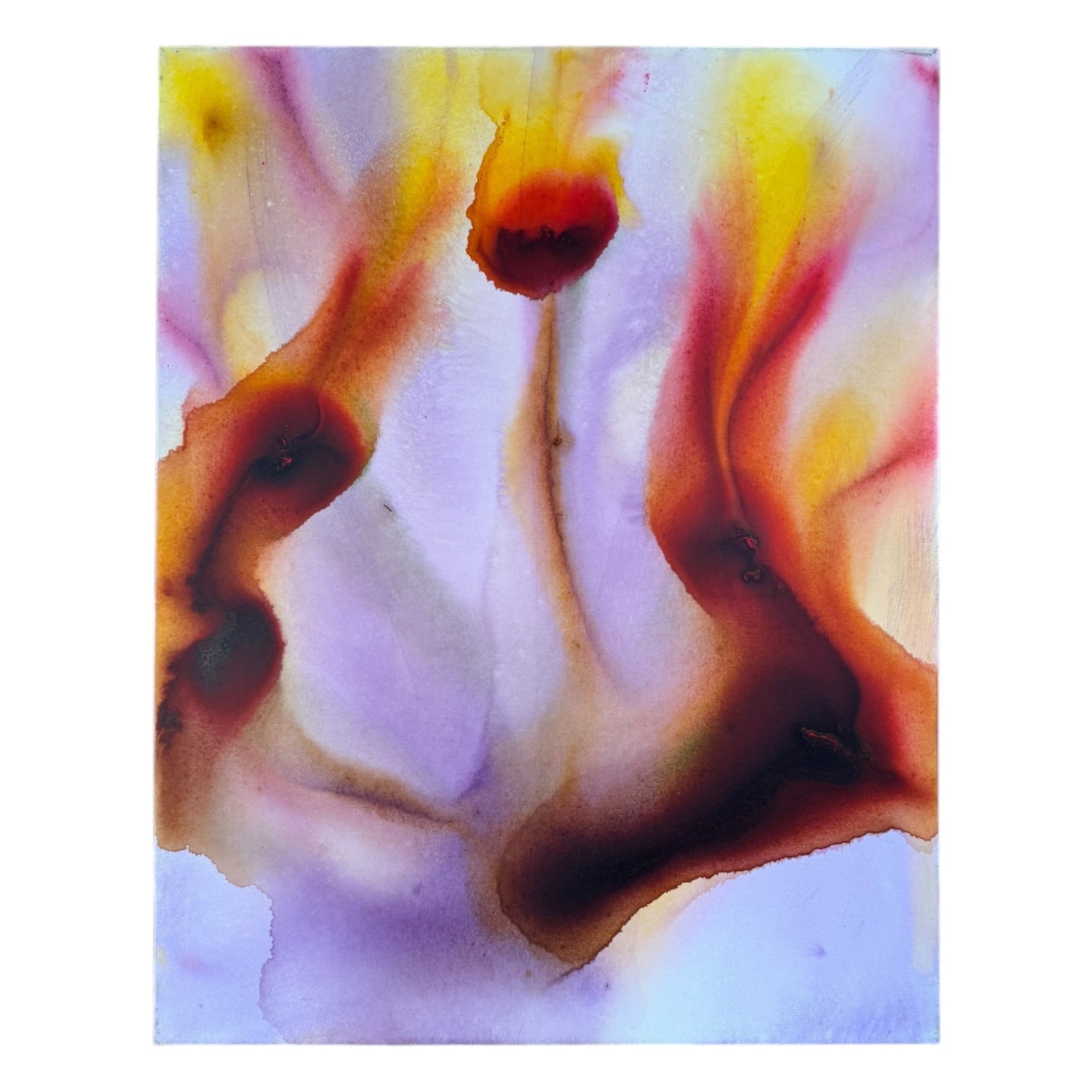 Flower Series  Soak Stain Painting in Lavender and Sienna