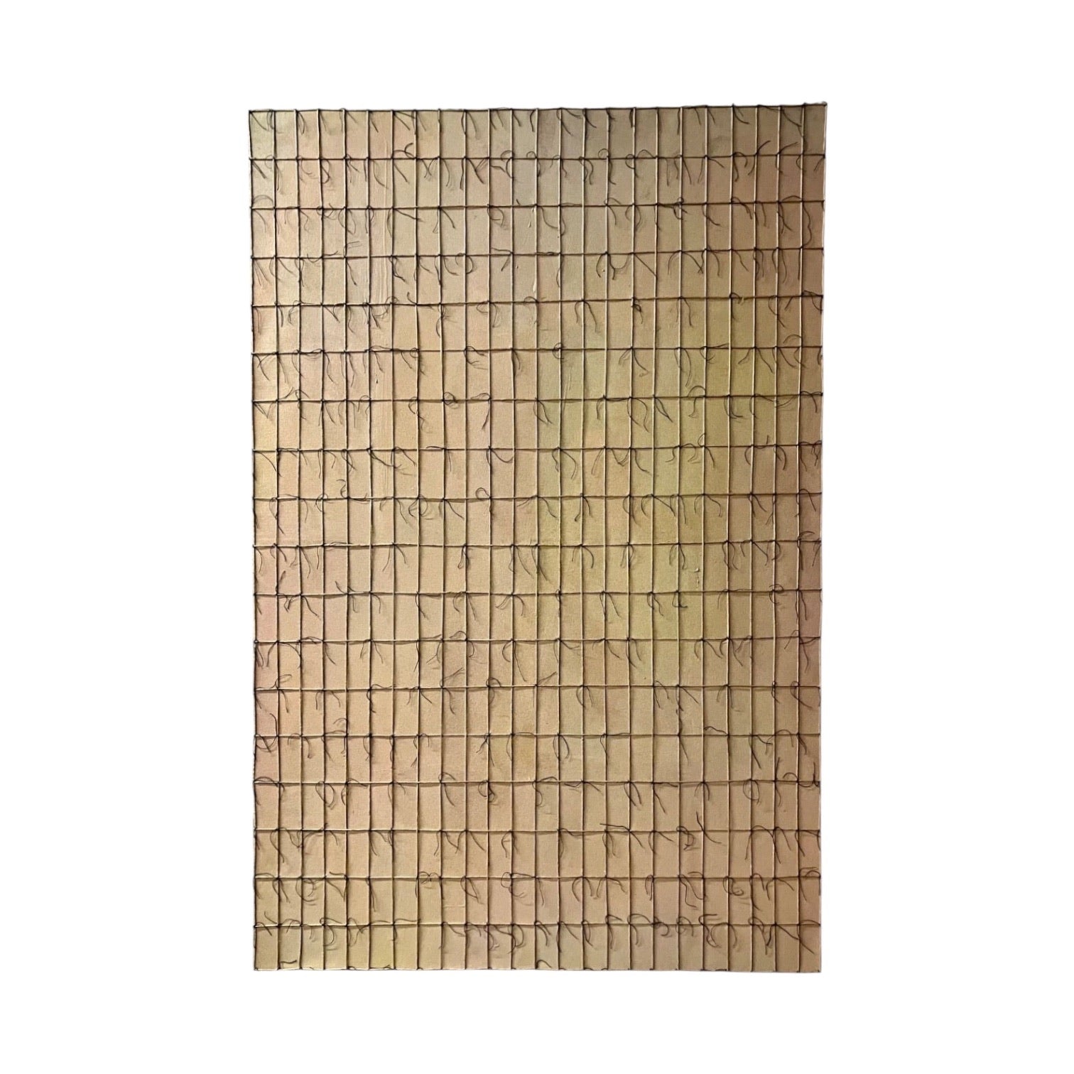 Mixed Media Oil Colorfield Painting with Fiber Embellishments