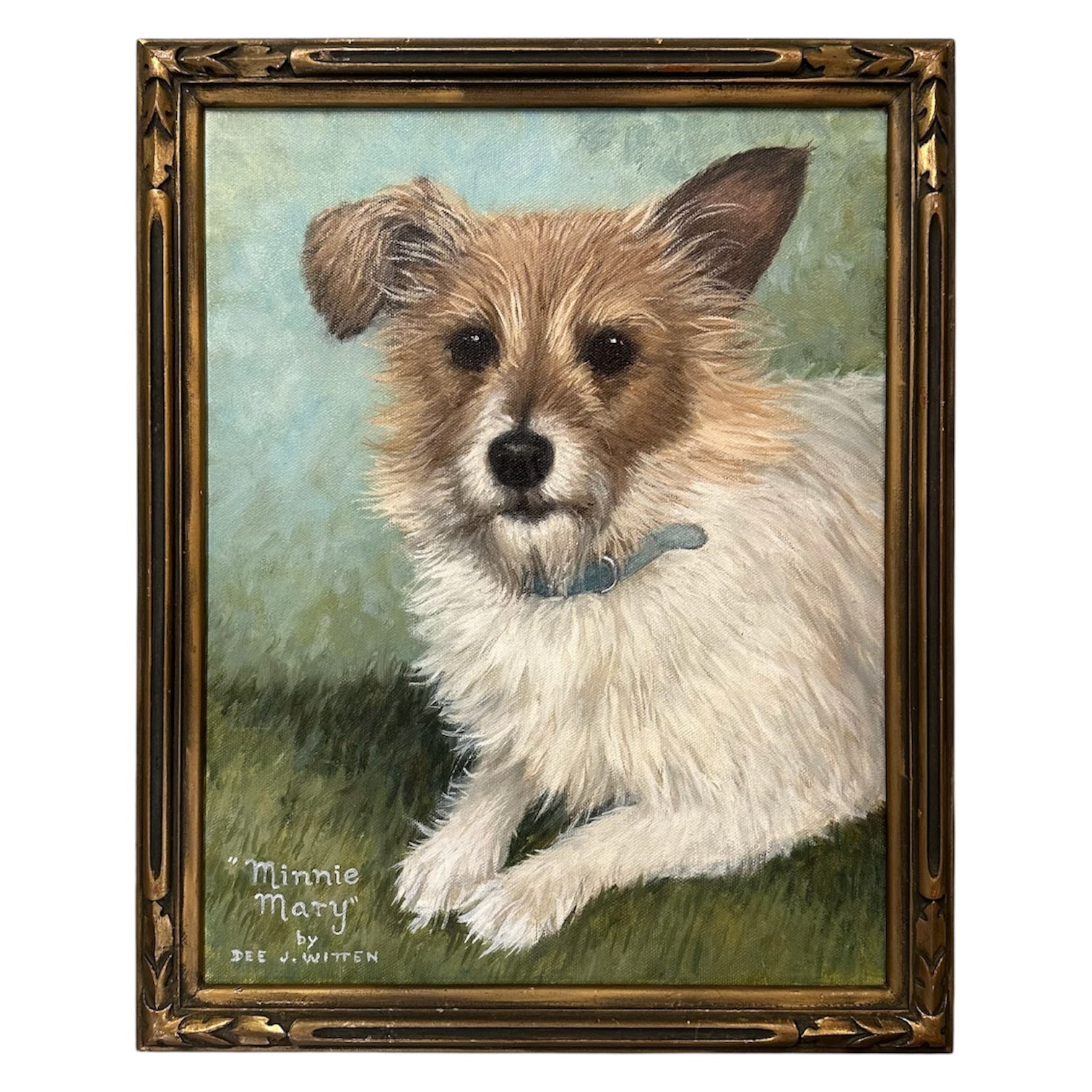 Portrait of a Scruffy Dog