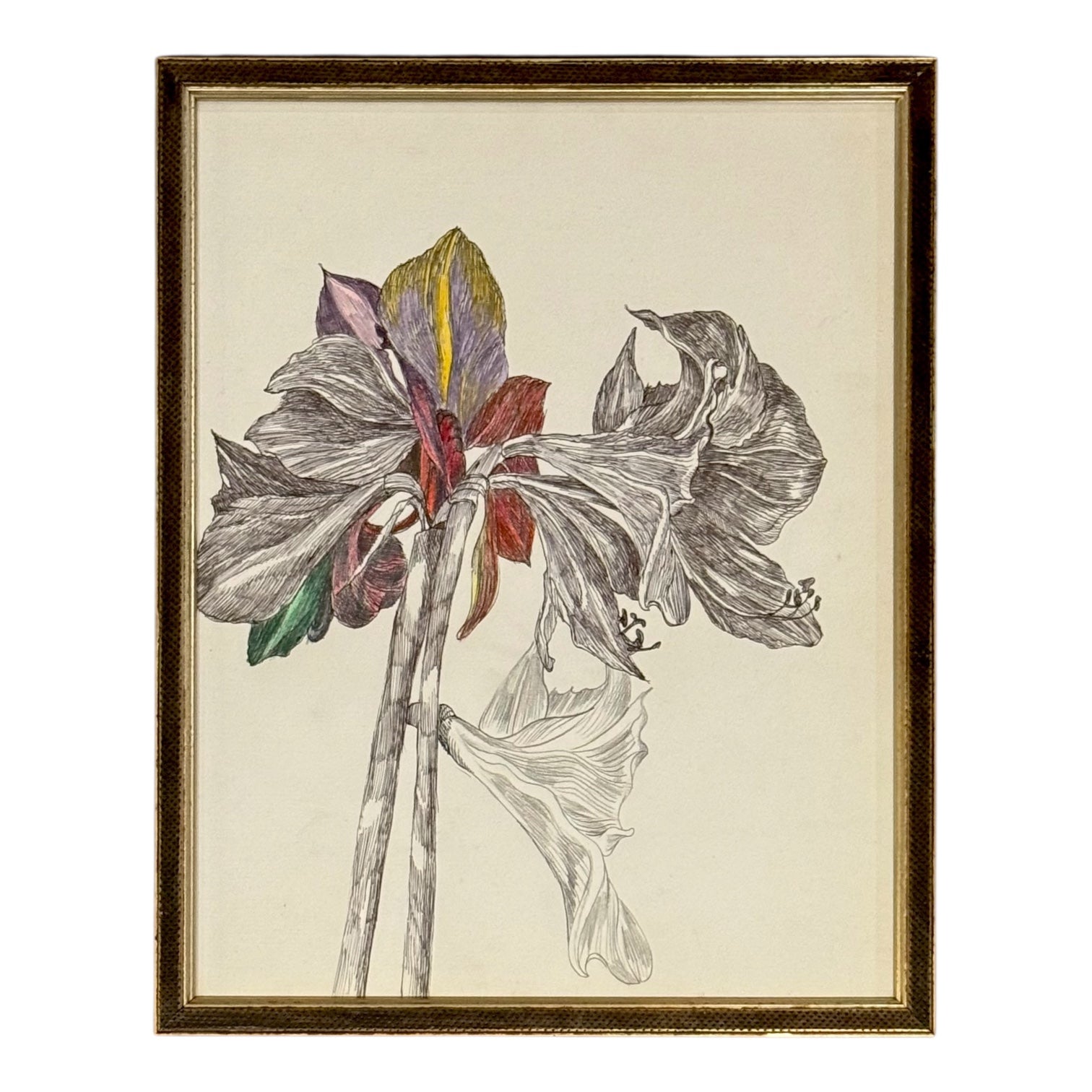 Detailed Graphite Drawing of Lilies in Gold-Accented Custom Frame