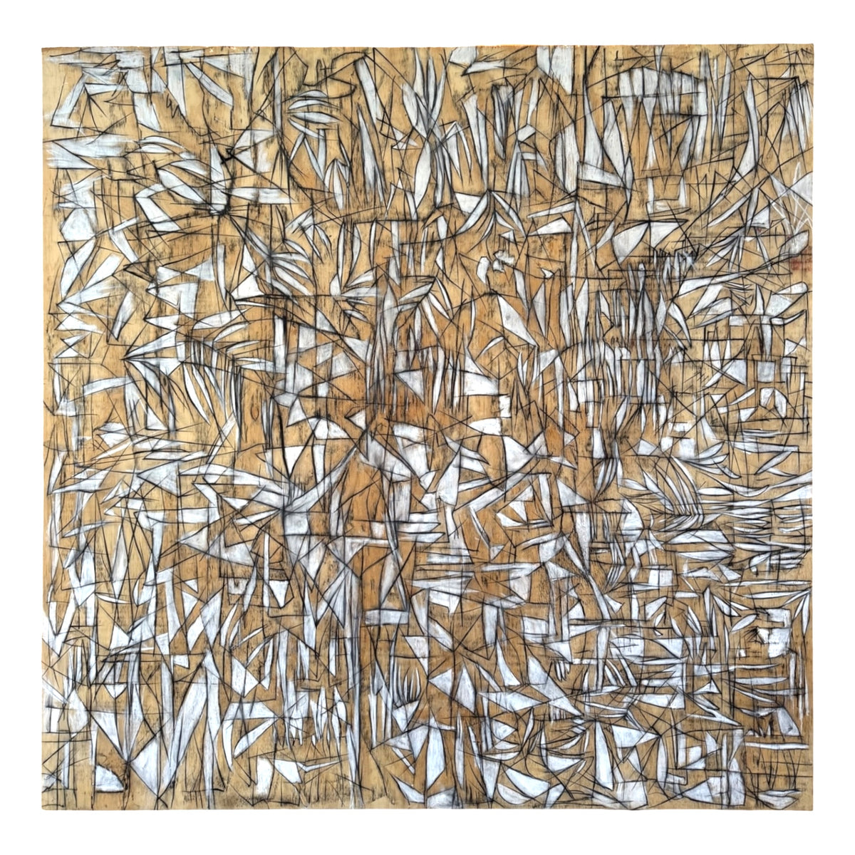 "Tree House" Energetic Fractal Abstraction in Neutrals