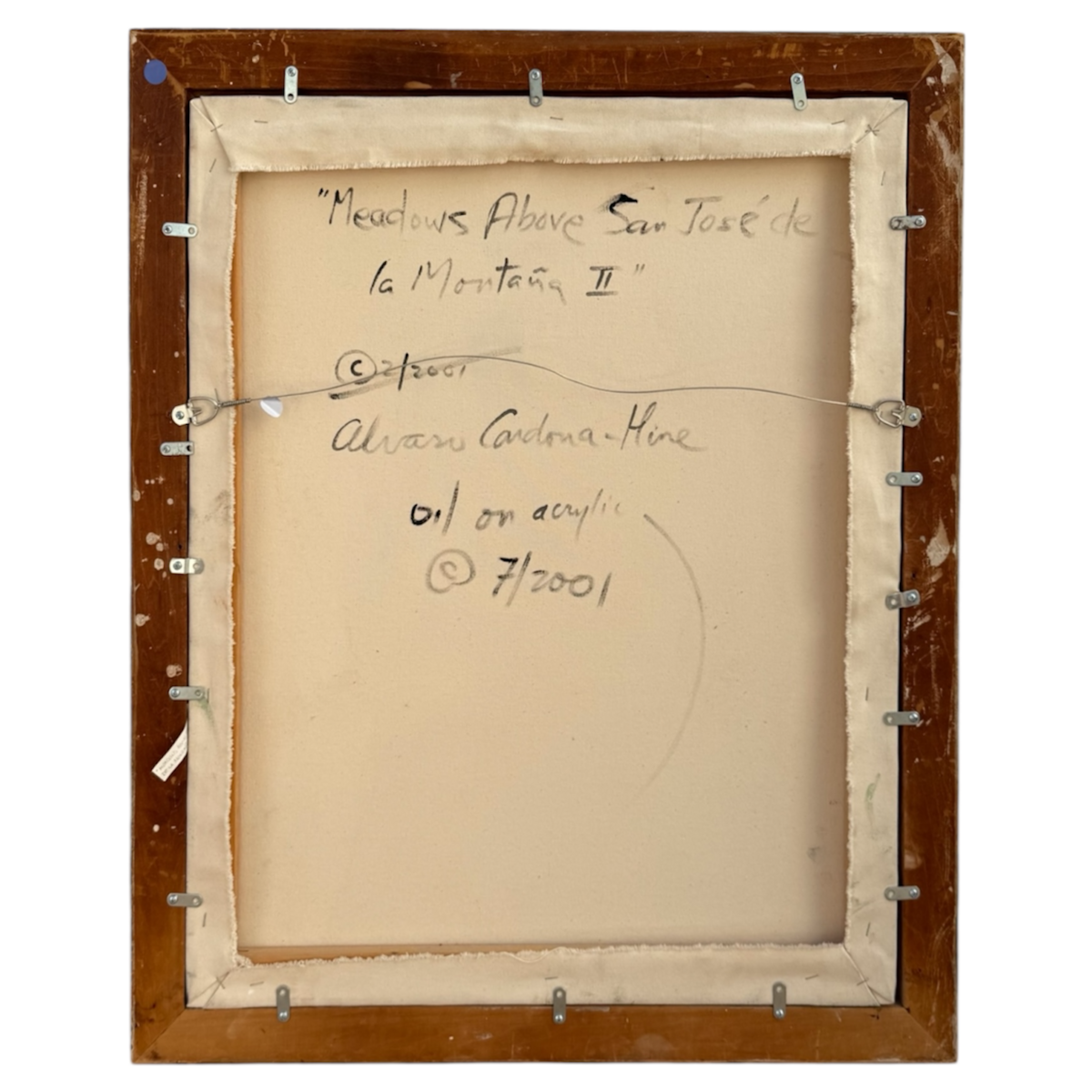 Meadows Above San José de la Montaña II