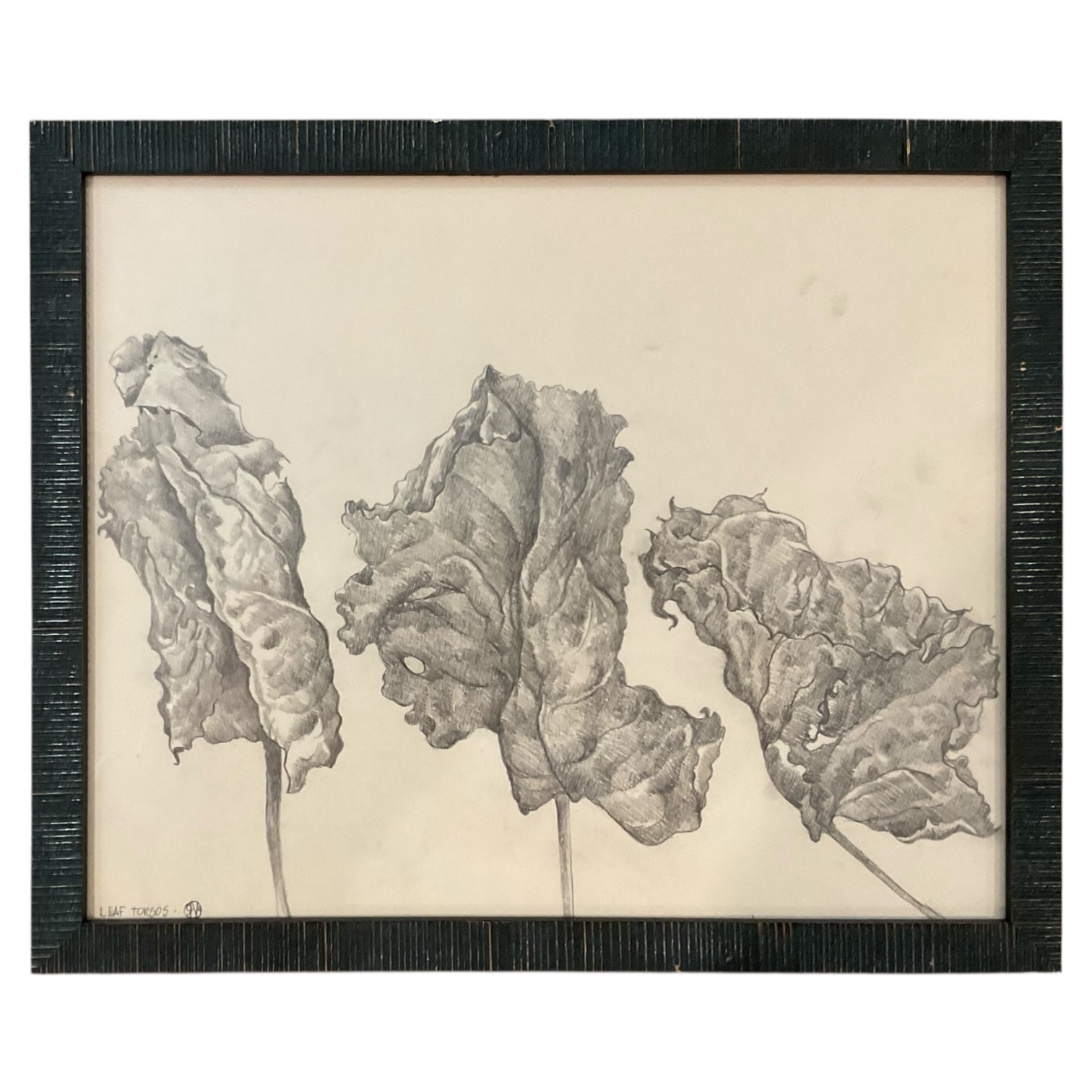 Graphite Drawing of Leaves in Custom Frame "Leaf Torsos"