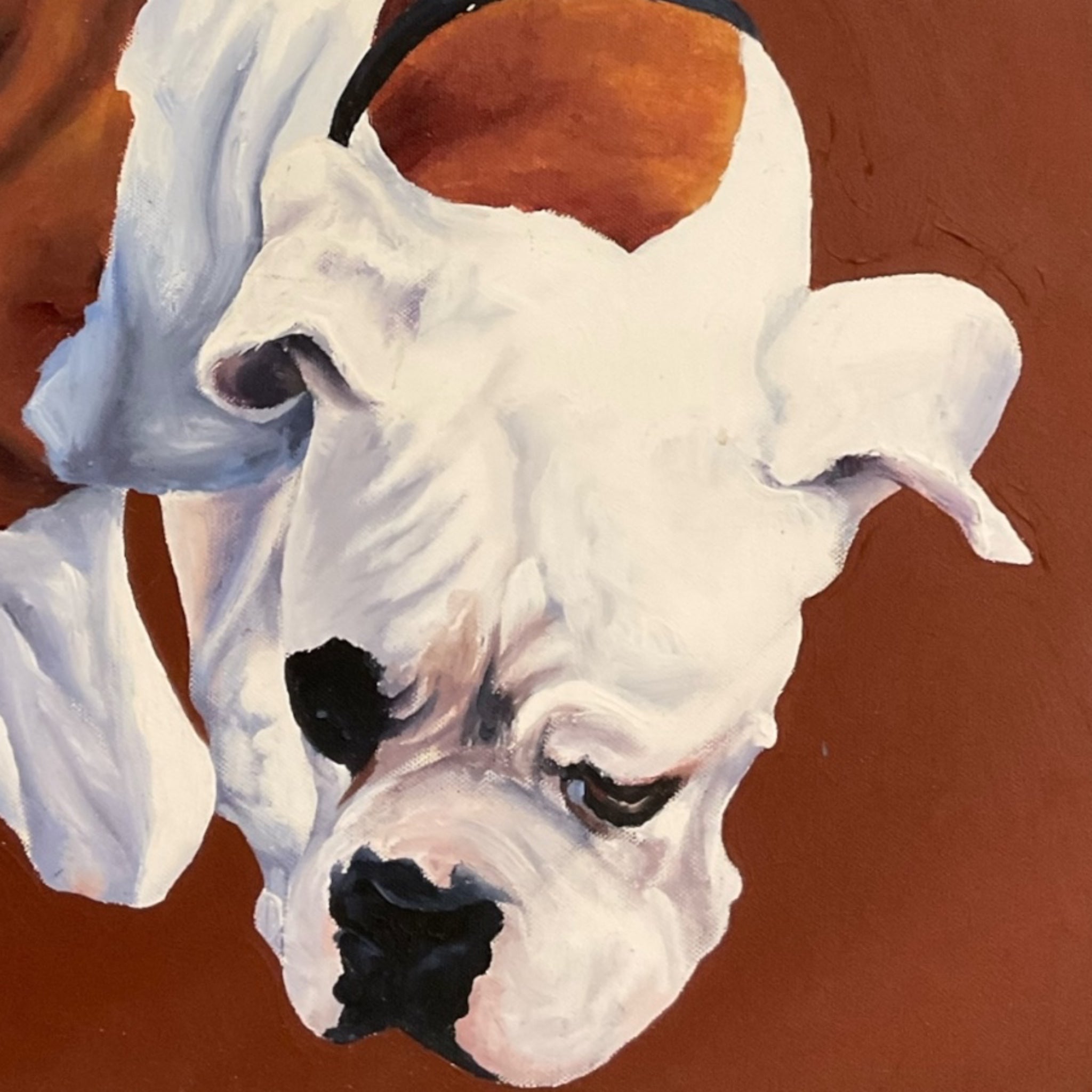 Portrait of a Sleepy Bulldog on a Burnt Sienna Ground