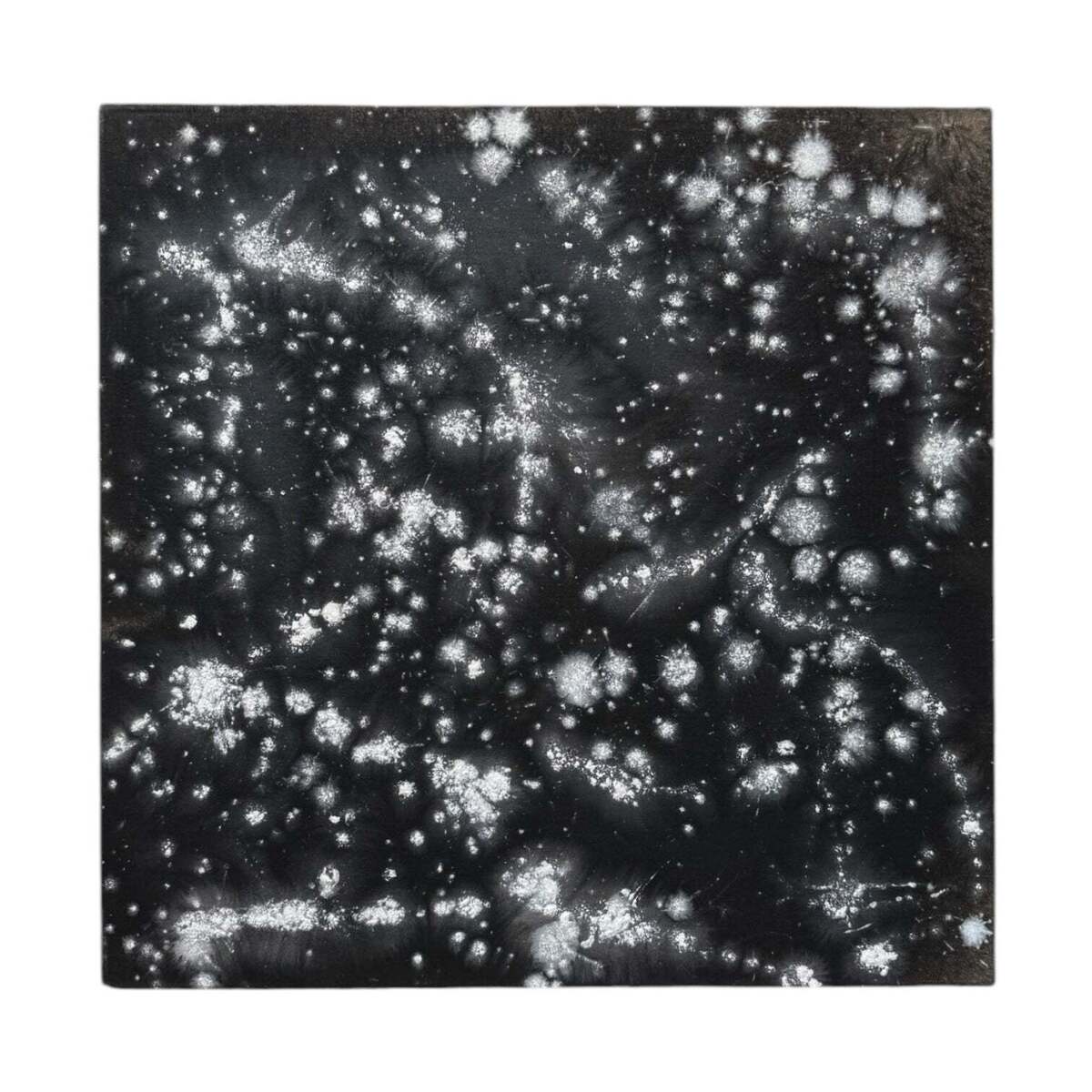 Pollux 1992